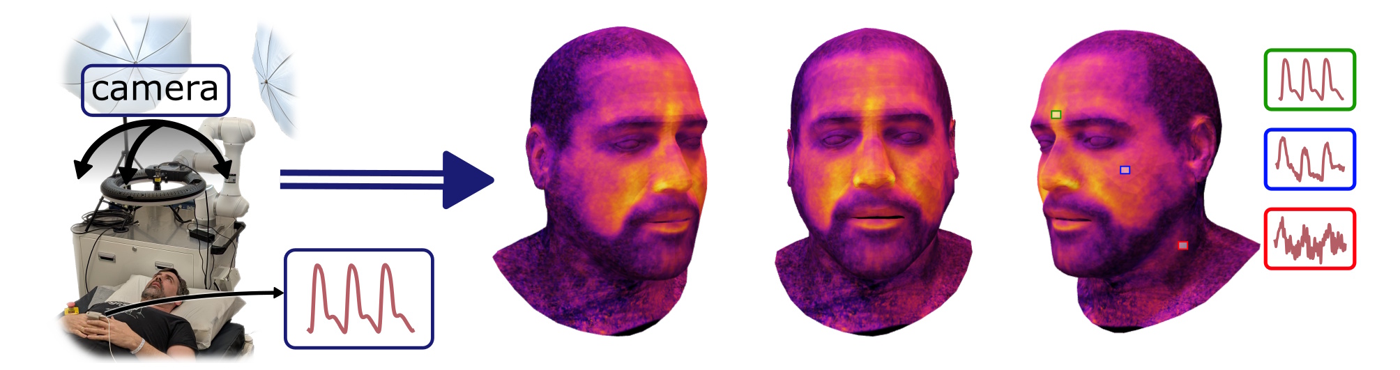 3D Blood Pulsation Maps